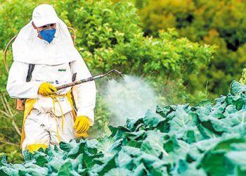 Η Γαλλία αναστέλλει τις εισαγωγές αγροτικών προϊόντων που καλλιεργούνται με χρήση 5 απαγορευμένων στην ΕΕ ουσιών