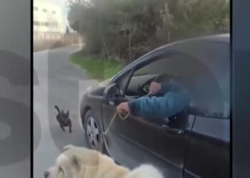 Θεσσαλονίκη: