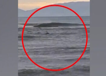 Στρυμόνας: «Πήρα την απόφαση και μπήκα» περιγράφει ο σέρφερ που έσωσε τον ψαρά που πνιγόταν