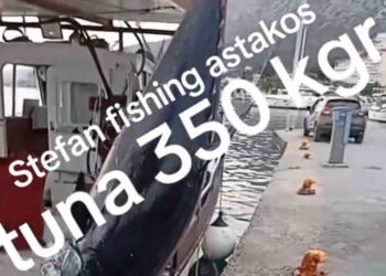 Ψαράδες από τον Αστακό έπιασαν τόνο 350 κιλών! (video)