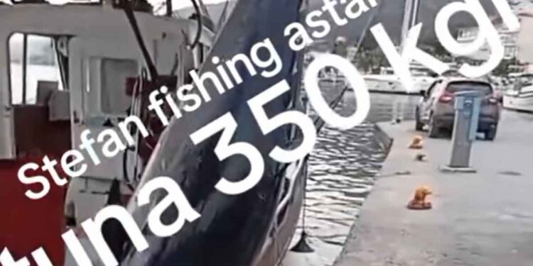 Ψαράδες από τον Αστακό έπιασαν τόνο 350 κιλών! (video)