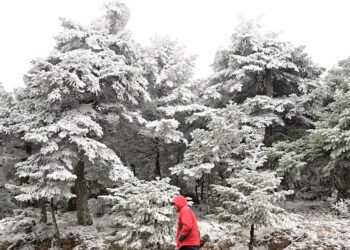 «Χιονοπόλεμος μεταξύ μετεωρολόγων: Αντιπαράθεση Τσατραφύλλια και Μαρουσάκη για τον χιονιά – «Η φωτοβολίδα εξελίσσεται σε στρακαστρούκα»