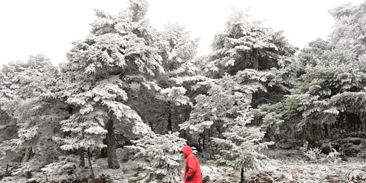 «Χιονοπόλεμος μεταξύ μετεωρολόγων: Αντιπαράθεση Τσατραφύλλια και Μαρουσάκη για τον χιονιά – «Η φωτοβολίδα εξελίσσεται σε στρακαστρούκα»