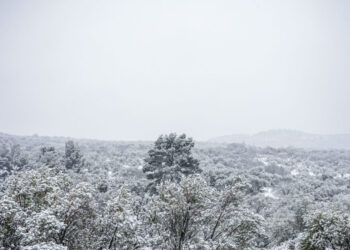 Καιρός: Κρύο, χιόνια και θυελλώδεις άνεμοι μέχρι το μεσημέρι της Δευτέρας – Έκτακτο δελτίο επιδείνωσης καιρού