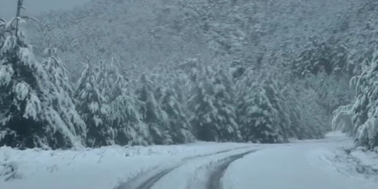 Χιόνια σε Ηπειρο, Αιτωλοακαρνανία και δυτική Μακεδονία – Κλειστά τα σχολεία αύριο στη Φλώρινα