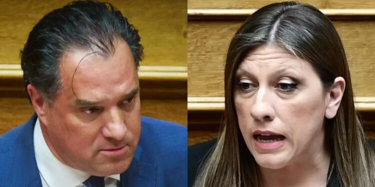 Ο Άδωνις Γεωργιάδης για νέα καταγγελία πρώην συνεργάτη της Ζωής Κωνσταντοπούλου: «Στοχοποίηση και απλήρωτη εργασία»
