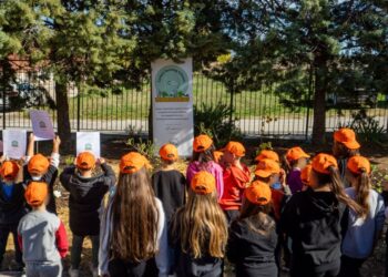 ΔΕΗ και Open Farm προωθούν τη βιώσιμη γεωργία στους μαθητές