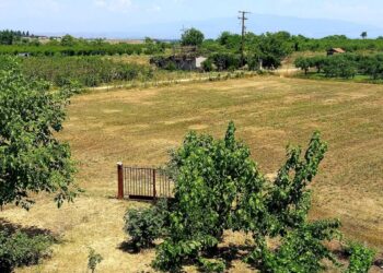 ΥΠΑΑΤ: Παράταση έως 31 Δεκεμβρίου 2026 για δάνεια σε κατ’ επάγγελμα αγρότες χωρίς ασφαλιστική ενημερότητα