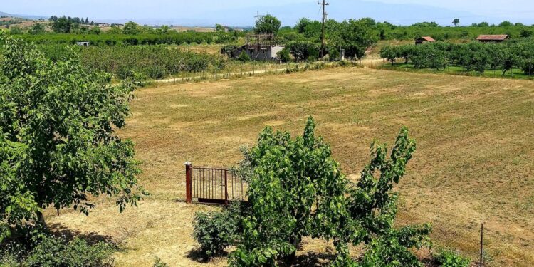 ΥΠΑΑΤ: Παράταση έως 31 Δεκεμβρίου 2026 για δάνεια σε κατ’ επάγγελμα αγρότες χωρίς ασφαλιστική ενημερότητα