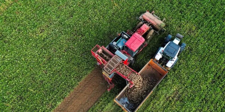 Ξεκινούν σήμερα οι αποζημιώσεις 6,4 εκατ. ευρώ σε πληγέντες παραγωγούς από τον παγετό της άνοιξης 2025