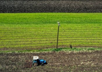 Εργάτες γης μέσω νέας πλατφόρμας – 5.000 εποχικοί εργαζόμενοι στη συμφωνία με Αίγυπτο