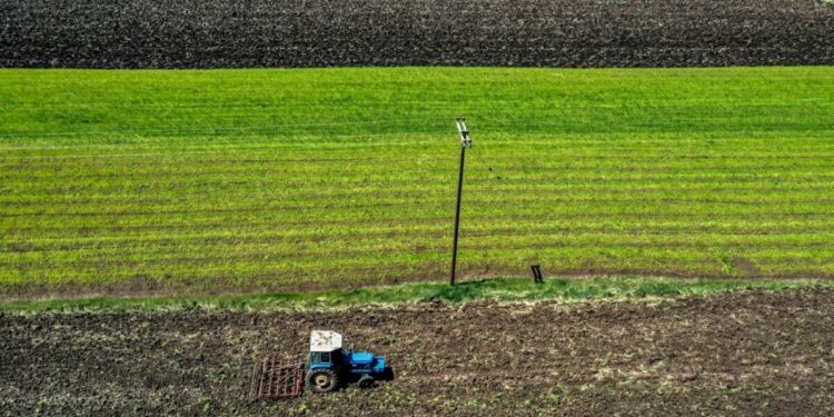 Εργάτες γης μέσω νέας πλατφόρμας – 5.000 εποχικοί εργαζόμενοι στη συμφωνία με Αίγυπτο
