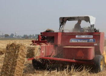 ΑΑΔΕ: Τη Δευτέρα ανοίγει ξανά το ΟΣΔΕ για διορθώσεις σε λάθη πληρωμών στην Ενιαία Αίτηση Ενίσχυσης 2024 και 2025