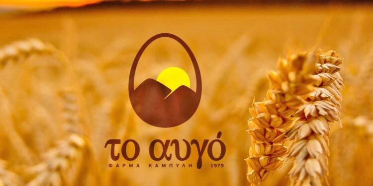 Ευοίωνες οι προβλέψεις για την πορεία των αυγών από την Αρκαδία