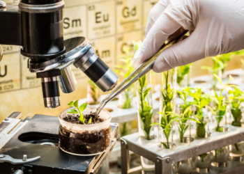 Νέες Γονιδιωματικές Τεχνικές: Η Επιτροπή ENVI ενέκρινε το νέο πλαίσιο