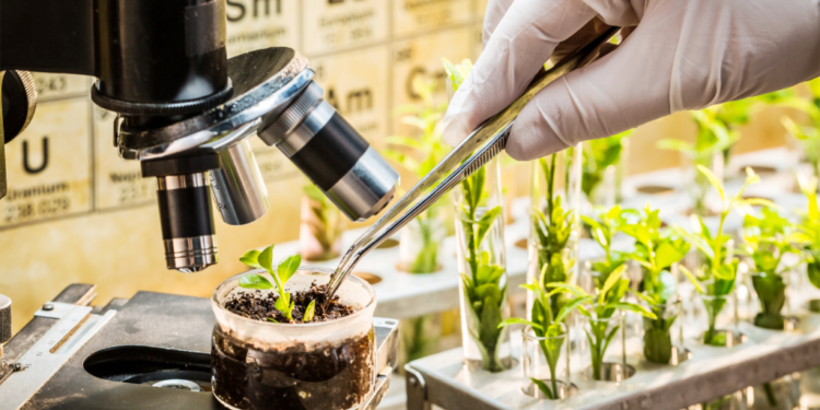 Νέες Γονιδιωματικές Τεχνικές: Η Επιτροπή ENVI ενέκρινε το νέο πλαίσιο