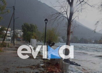 Εύβοια: Δεκάδες καταστροφές από την κακοκαιρία – Δρόμοι και πεζοδρόμια έγιναν ποτάμια, δέντρο ξεριζώθηκε και έπεσε