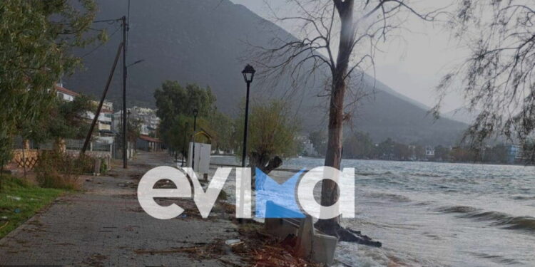 Εύβοια: Δεκάδες καταστροφές από την κακοκαιρία – Δρόμοι και πεζοδρόμια έγιναν ποτάμια, δέντρο ξεριζώθηκε και έπεσε