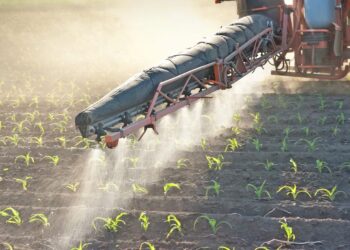 ΕΛΣΤΑΤ: Μικρή αύξηση στον δείκτη εισροών τον μήνα Νοέμβριο