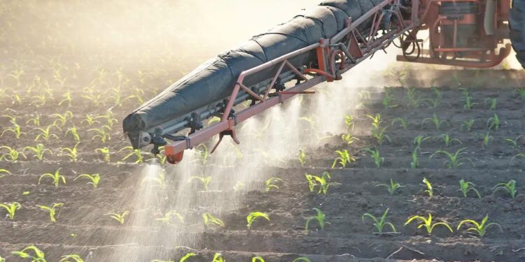 ΕΛΣΤΑΤ: Μικρή αύξηση στον δείκτη εισροών τον μήνα Νοέμβριο