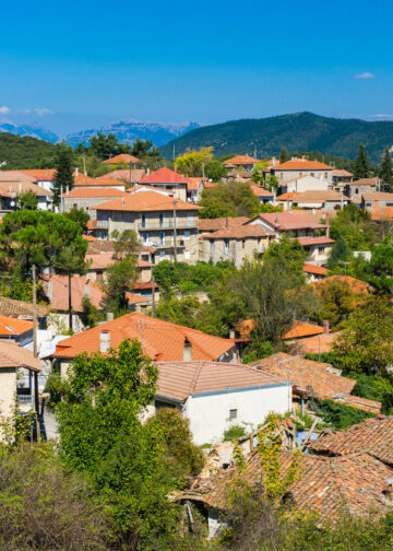 ΕΤΑΔ: Ηλεκτρονικός διαγωνισμός για την αξιοποίηση του «Ξενία Βυτίνας»