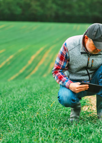 Ηνωμένο Βασίλειο: Επενδύει περισσότερα από 1 εκατ. λίρες για καινοτομία, ανθεκτικότητα και νέες καλλιέργειες