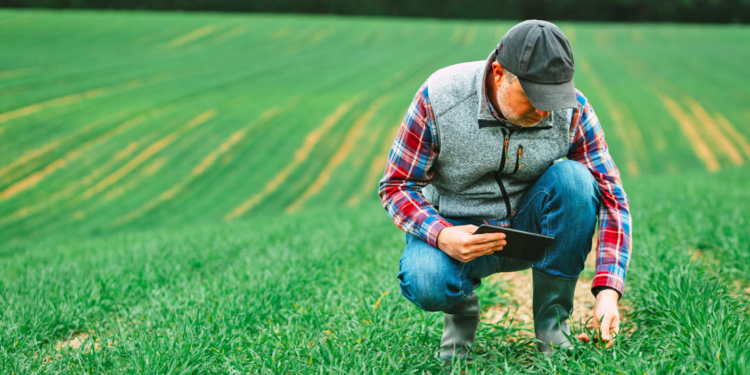 Ηνωμένο Βασίλειο: Επενδύει περισσότερα από 1 εκατ. λίρες για καινοτομία, ανθεκτικότητα και νέες καλλιέργειες