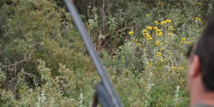 Φθιώτιδα: Μεθυσμένος άνδρας πυροβόλησε και σκότωσε κυνηγόσκυλο