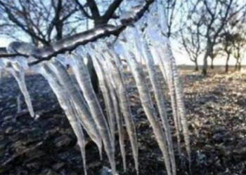 Κερασοπαραγωγοί Πέλλας-Ημαθίας: Επιστολή στον πρωθυπουργό για αποζημιώσεις στα κεράσια