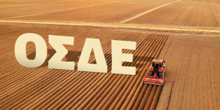 Ανοίγει το ΟΣΔΕ για διορθώσεις σφαλμάτων στην Ενιαία Αίτηση Ενίσχυσης 2024 και 2025