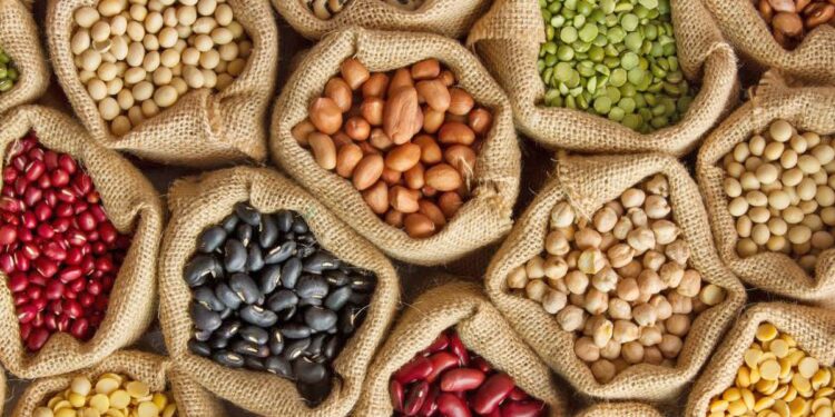 Καλλιέργεια ανοιξιάτικων οσπρίων – Τι πρέπει να προσέξουν οι παραγωγοί οσπρίων