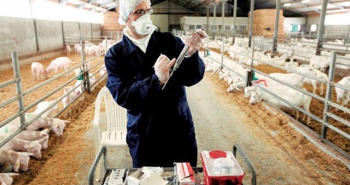 ΥΠΑΑΤ: 97 στρατιωτικοί κτηνίατροι στη «μάχη» για την ευλογιά