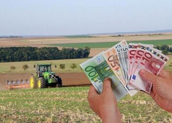 Έρχονται ενισχύσεις 110 εκατ. ευρώ σε βαμβάκι, σκληρό σίτο μέσω συνδεδεμένων και σε μηδική μέσω de minimis