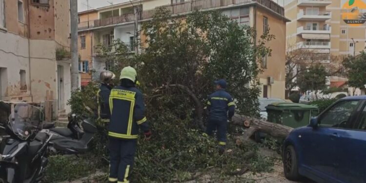 Κακοκαιρία: Έπεσαν δέντρα στην Αττική από τους ισχυρούς ανέμους – Σε συναγερμό η Πυροσβεστική σε 5 περιοχές