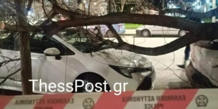Θεσσαλονίκη: Δεκάδες πτώσεις δέντρων από τους θυελλώδεις ανέμους – Ακυρώθηκαν πτήσεις στο «Μακεδονία»
