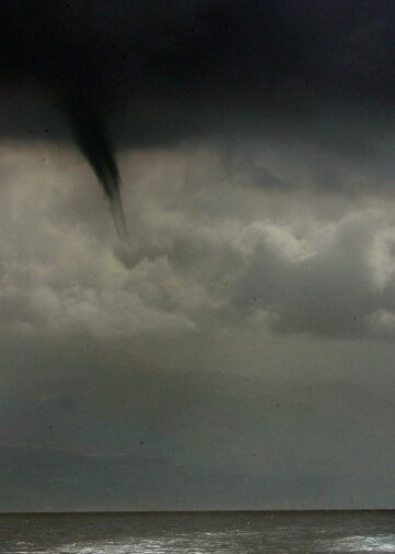 Ανεμοστρόβιλος ξερίζωσε δέντρα στα Περιβολάκια Πύργου