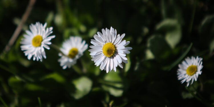 Καιρός: Από χειμωνιάτικο πρωινό σε ανοιξιάτικη ημέρα – Έρχονται βροχές και ισχυροί άνεμοι