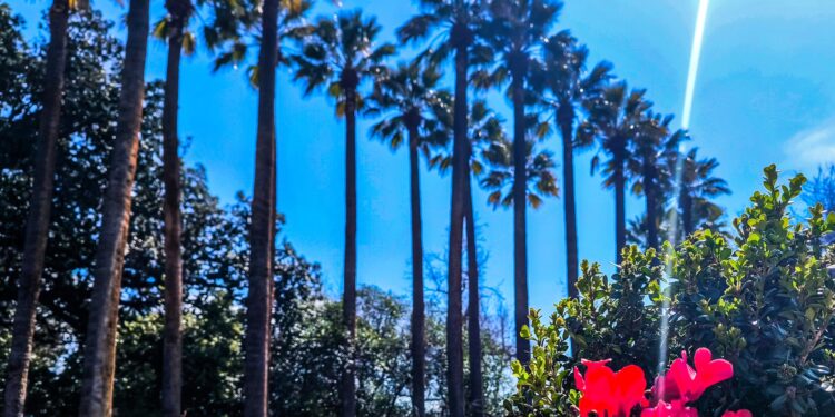 Καιρός: Ηλιοφάνεια, βοριάδες στο Αιγαίο και θερμοκρασίες κοντά στα κανονικά επίπεδα