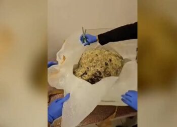 Συνελήφθη στην Κηφισιά γνωστός επιχειρηματίας για αρχαιοκαπηλία – Εντοπίστηκαν αμφορείς από διαφορετικές περιόδους