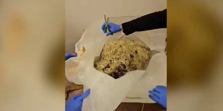 Συνελήφθη στην Κηφισιά γνωστός επιχειρηματίας  για αρχαιοκαπηλία – Εντοπίστηκαν αμφορείς από διαφορετικές περιόδους