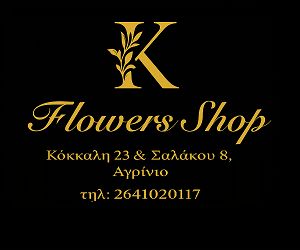 Σωτηρακόπουλος Αγρίνιο Ενεργειακά Τζάκια - Αερόθερμα & Καλοριφέρ - Σόμπες - Θερμομόνωση - Καμινάδες