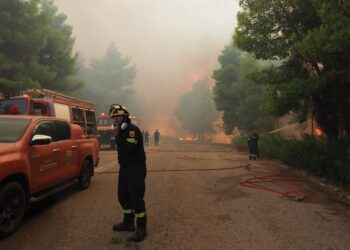 Βελτιωμένη η εικόνα της πυρκαγιάς στη Μακρυκάπα Εύβοιας