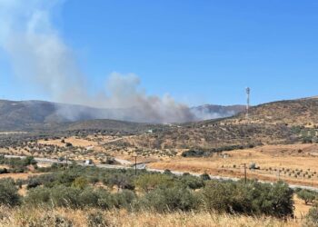 Αλεξανδρούπολη: Φωτιά στην περιοχή Βρυζέικα