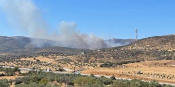 Αλεξανδρούπολη: Φωτιά στην περιοχή Βρυζέικα