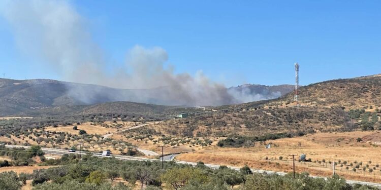 Αλεξανδρούπολη: Φωτιά στην περιοχή Βρυζέικα