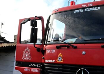 Πυρκαγιά στη Μακρυκάπα Εύβοιας: Μήνυμα 112 για απομάκρυνση από Τριάδα προς Ψαχνά