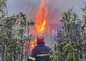 Φωτιά τώρα σε δασική έκταση στην περιοχή Μουρίκη Αχαΐας