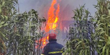 Φωτιά τώρα σε δασική έκταση στην περιοχή Μουρίκη Αχαΐας