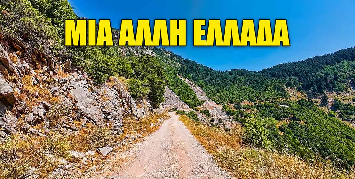 Κόνισκα – Διπλάτανος: Η διαδρομή που θα σε κάνει να κρατήσεις την ανάσα σου (video)
