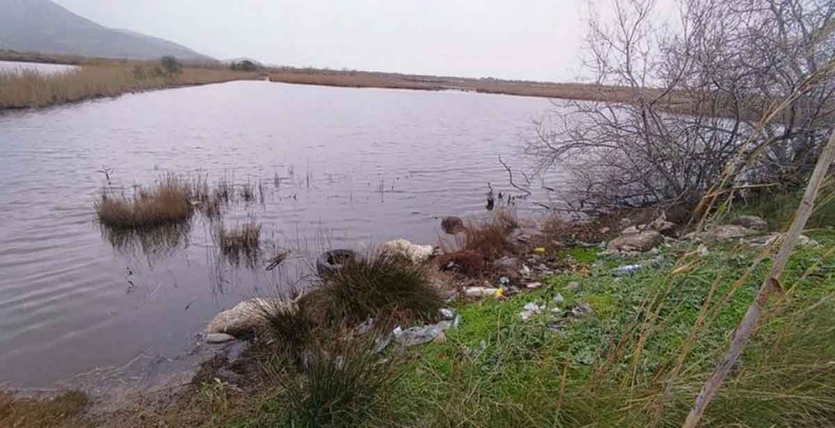 Αιτωλικό: Στη Δικαιοσύνη η Περιφέρεια για τα πεταμένα νεκρά πρόβατα στη λιμνοθάλασσα